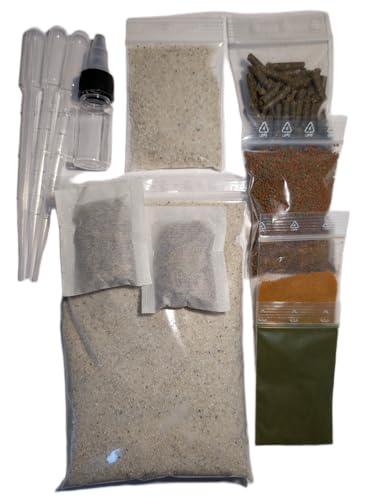 Triops Longicaudatus Zuchtset, 100 Eier, Komplettes Set mit Futter und Zubehör für Urzeitkrebse von Generisch