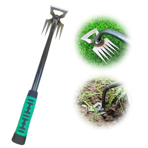 Unkrautstecher Edelstahl, Unkrautjätegerät Premium Kohlenstoffstahl Silikongriff, Gartenwerkzeug 5/6/11 Zähne Optionen für den Garten Rasen Hof Weeder zum Graben, Jäten, Lösen (6 Zähne) von Generisch