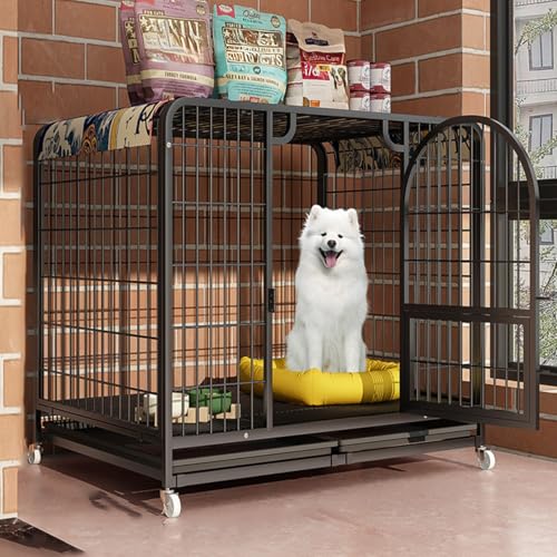 Unzerstörbare Hundebox mit Oberlicht, verbesserte Belüftung, leicht zu bewegen und zu reinigen, ideal für den Innenbereich von Generisch
