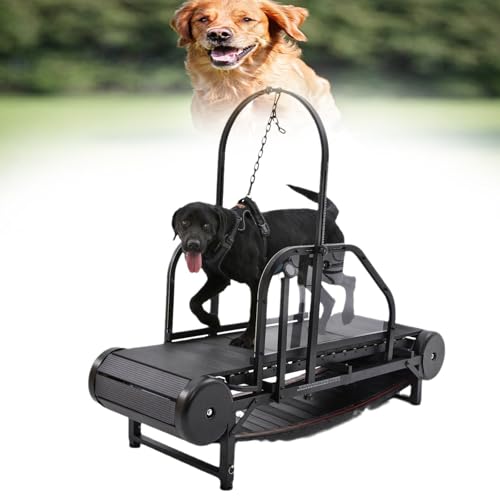 Verstellbares Hunde-Laufband für Bewegung und gesundes Haustierleben, für drinnen und draußen, unterstützt bis zu 136 kg von Generisch