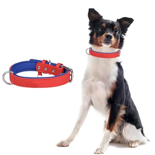 Verstellbares Hundehalsband, Hundehalsband, weich gepolstert, strapazierfähigesHundehalsband, leichtes und atmungsaktives Hunde Halsband, Stilvoll und Elegant, Für Hunde (C, XS) von Generisch
