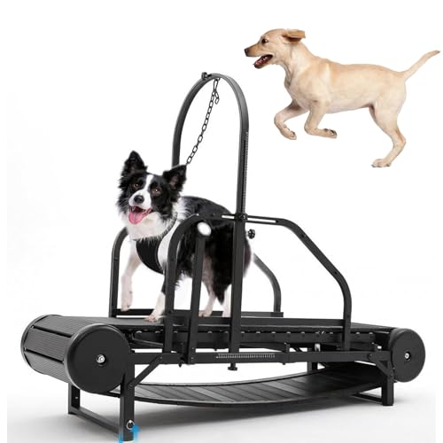 Verstellbares Laufband für Hunde, Laufband für Hunde, mit Schrittzähler, fördert gesundes und fites Haustierleben für große/mittelgroße Hunde von Generisch