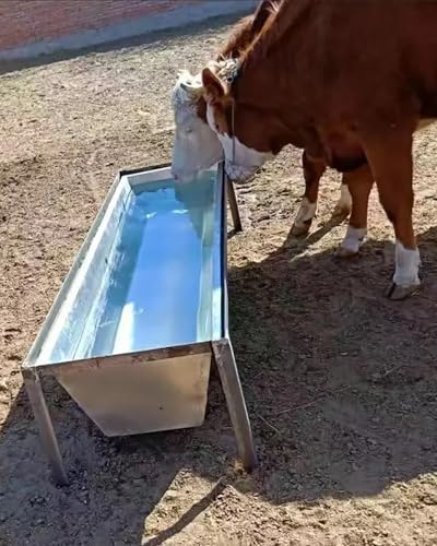 Viehzucht Geflügel Fütterung Wasser Futtertrog Große Kapazität Langlebige Futterpfanne für Kälber Schafe Pferde Alpakas Ideal für Effiziente Fütterung Viehzucht Geflügel Fütterung Wasser Futtertrog Große Kapazität Langlebige Futterpfanne für Kälber Schafe Pferde Alpakas Ideal für Effiziente Fütterung von Generisch