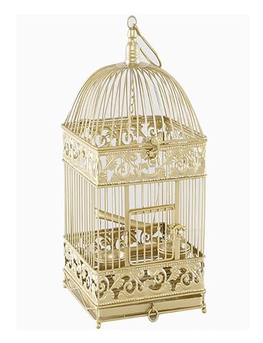 Vögel Käfig Deko Gold Vintage Papageienkäfig Rund Metall Elegant mit Box für Lebensmittel Bar stehend Hinzufügen Behälter für Lebensmittel, Gold von Generisch