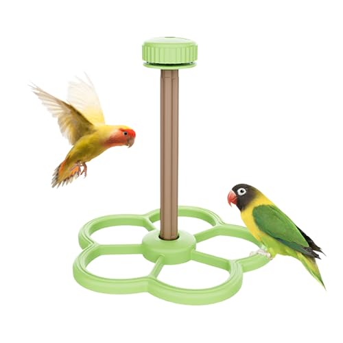 Vogel Sitzstange Für Käfig - Krallenschleif Für - Interaktiver Vogelkäfig Spielstand Für, Sittiche Und Kanarienvögel Zur Krallenpflege von Generisch