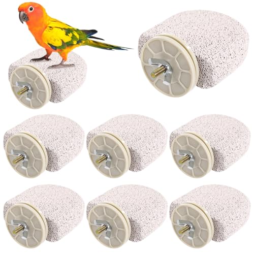 Vogel-Sitzstangen 8 Stück, Ständer am Stiel Kreativer Vogel, Schleif-Schnabelsteine Vogel, Trimmer, Krallenfuß, Spielzeug Kauen Natürlich für Vögel Klein, Wellensittiche, Nymphensittiche, Lovebirds Vogel-Sitzstangen 8 Stück, Ständer am Stiel Kreativer Vogel, Schleif-Schnabelsteine Vogel, Trimmer, Krallenfuß, Spielzeug Kauen Natürlich für Vögel Klein, Wellensittiche, Nymphensittiche, Lovebirds von Generisch
