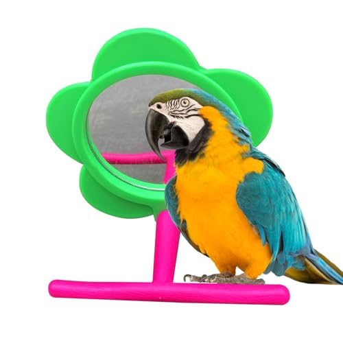 Vogel mit Sitzstange – Interaktive Papageien-Sitzstange aus Holz – Vogelbedarf, bissfestes Papageienständer Spielzeug für Sittiche, Aras Vogel mit Sitzstange – Interaktive Papageien-Sitzstange aus Holz – Vogelbedarf, bissfestes Papageienständer Spielzeug für Sittiche, Aras von Generisch