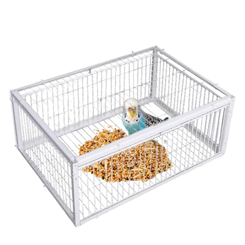 Vogelfalle Käfig Ausbruchsicher Vogelfänger 40.0x30.0x26.0 cm Automatische Multi Entrance Falle Tauben Kleine Vögel Easy Clean Design für humanes Fangen 4 Eingänge Metallrahmen von Generisch