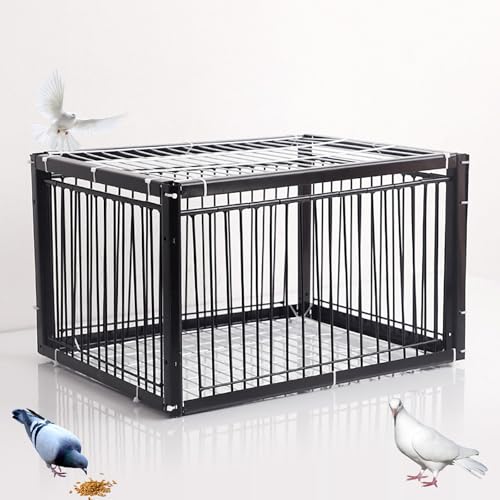 Vogelfalle Käfig mit Stalltür für effizientes Fangen und Zucht von Brieftauben, Tauben und Papageien Vogelfalle Käfig mit Stalltür für effizientes Fangen und Zucht von Brieftauben, Tauben und Papageien von Generisch