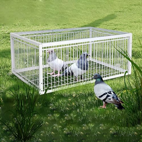 Vogelfalle Käfig zum sicheren Fangen und Zucht von Tauben, Tauben und Papageien, ideal für Renn- und Fenstertürmontage Vogelfalle Käfig zum sicheren Fangen und Zucht von Tauben, Tauben und Papageien, ideal für Renn- und Fenstertürmontage von Generisch