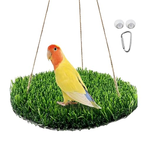 Vogelgrasmatte Hängematte | Vogelgras Schaukel Spielzeug mit Haken - Großes Vogelschaukel Spielzeug - Vogelschaukel Matte - Simulation Gras Papagei Schaukel - Papagei Klettern Spielzeug - Vögel von Generisch