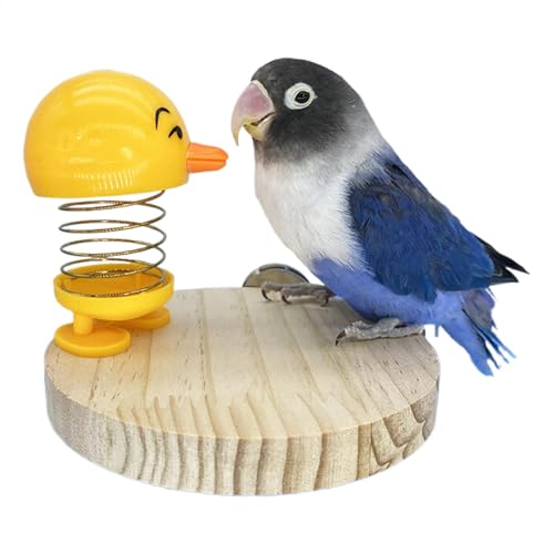 Vogelkäfig-Spielzeug,Vogel-Papageien-Spielzeug,Vogelspielzeug mit Feder und Standplatte - Cartoon-Papageienkäfig-Dekoration, kleines Sittich-Frühlingsspielzeug zur Vogelbereicherung Vogelkäfig-Spielzeug,Vogel-Papageien-Spielzeug,Vogelspielzeug mit Feder und Standplatte - Cartoon-Papageienkäfig-Dekoration, kleines Sittich-Frühlingsspielzeug zur Vogelbereicherung von Generisch