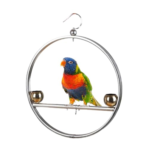 Vogelspielständer | Edelstahl Papagei Vogel Training Schaukel Ständer - Haustierzubehör Rostfreier Vogelständer mit Haken für Vogelkäfig, Fenster, Balkon Vogelspielständer | Edelstahl Papagei Vogel Training Schaukel Ständer - Haustierzubehör Rostfreier Vogelständer mit Haken für Vogelkäfig, Fenster, Balkon von Generisch