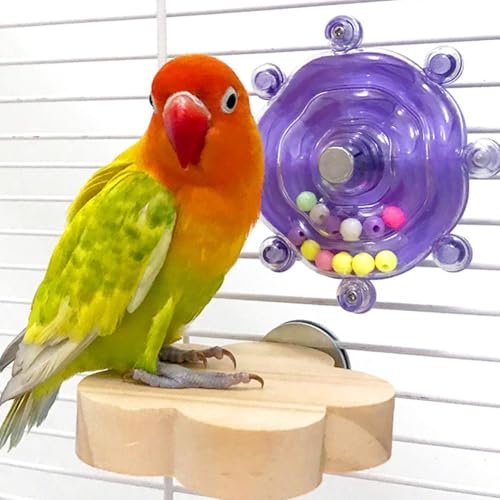 Vogelspielzeug für Papageien, drehendes Rad-Kauspielzeug mit drehbarem Kunststoff-Spinner, buntes Vogel-Kauspielzeug, Rassel, Nymphensittich-Spielzeug für Kauübungen, Vogelkäfig-Unterhaltung (lila) Vogelspielzeug für Papageien, drehendes Rad-Kauspielzeug mit drehbarem Kunststoff-Spinner, buntes Vogel-Kauspielzeug, Rassel, Nymphensittich-Spielzeug für Kauübungen, Vogelkäfig-Unterhaltung (lila) von Generisch