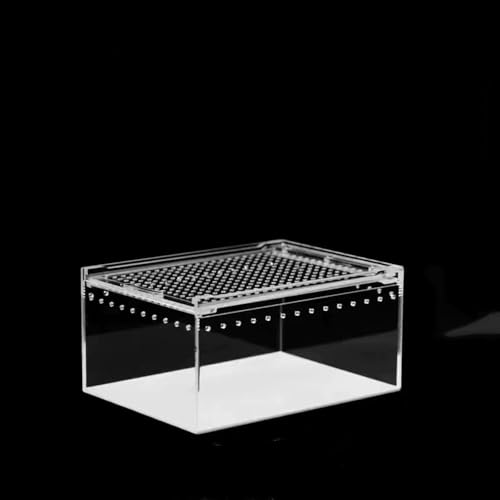 Vogelspinnen-Gehege, Kunststoff-Terrarium, Reptilienzuchtbox, Dubia Rotaugenbehälter für Bartagamen, Eidechse, Spinne, Gecko (M) von Generisch