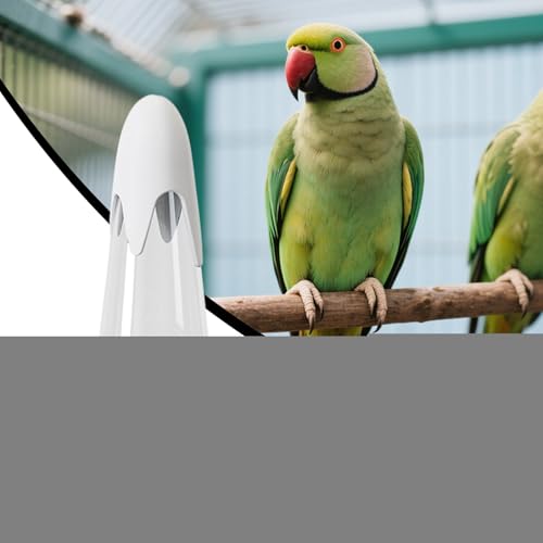 Vogeltränke, Automatischer Wasserspender Für Vogelkäfige, Wasserversorgung Für Kleinere Und Mittlere Vogelarten Wie Wellensittich Ara Kanarienvogel Nymphensittich Vogeltränke, Automatischer Wasserspender Für Vogelkäfige, Wasserversorgung Für Kleinere Und Mittlere Vogelarten Wie Wellensittich Ara Kanarienvogel Nymphensittich von Generisch