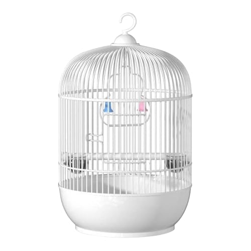 Vogeltrage Reisekäfig – Runde tragbare Papageienkiste, Metall-Handlaufhalter | Kleine Vogel-Transportbox für Nymphensittiche, Lovebird, Conure, Outdoor-Reisegehege für Haustier-Luftfahrt Vogeltrage Reisekäfig – Runde tragbare Papageienkiste, Metall-Handlaufhalter | Kleine Vogel-Transportbox für Nymphensittiche, Lovebird, Conure, Outdoor-Reisegehege für Haustier-Luftfahrt von Generisch