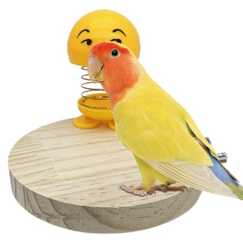 Vogeltrainingsspielzeug für Käfig, Vogelfederspielzeug für Käfig, Kauball für Papageien, Spielzeug für Sittiche, Cartoon-Vogel-Papageien-Futtersuchspielzeug, Käfigspielzeug-Dekoration für Wellensittic Vogeltrainingsspielzeug für Käfig, Vogelfederspielzeug für Käfig, Kauball für Papageien, Spielzeug für Sittiche, Cartoon-Vogel-Papageien-Futtersuchspielzeug, Käfigspielzeug-Dekoration für Wellensittic von Generisch