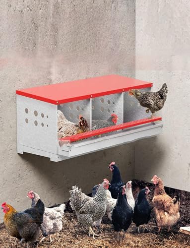 Vollverzinkter Eiertrogkasten, kann aufgehängt oder flach hingelegt Werden, einlagig mit DREI Fächern, leicht zu reinigen, Zusammenbau erforderlich – 81 x 50 x 43 cm Vollverzinkter Eiertrogkasten, kann aufgehängt oder flach hingelegt Werden, einlagig mit DREI Fächern, leicht zu reinigen, Zusammenbau erforderlich – 81 x 50 x 43 cm von Generisch