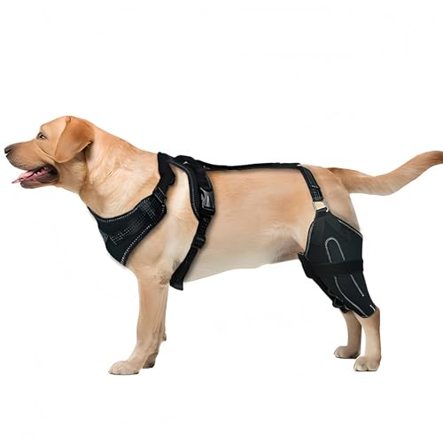 Wag Wize Knee Brace Harness for Dogs, Tear & Luxating Patella - Hinged Dog Leg Brace for Back Leg | Adjustable Dog Braces for Hind Legs Support for Large Dogs (1PC) von Generisch
