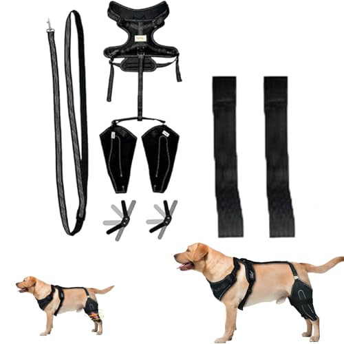 Wag Wize Knee Brace Harness for Dogs,Wag Wize Dog Knee Brace, Breathable & Adjustable Knee & Leg Support Brace with Metal Splint Support for Extra Stability for Back Leg (M) von Generisch