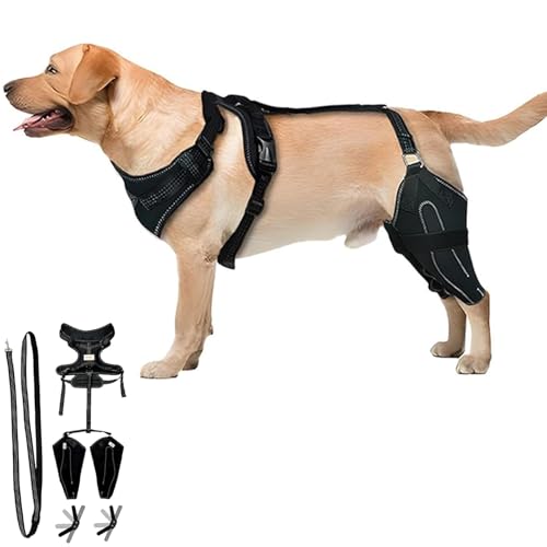 Wagwize Knee Brace Harness for Dogs, Dog Knee Brace with Adjustable Support, Metal Stabilization System, Adjustable Support Non-Slip Joint Braces for Back Leg (XL) von Generisch