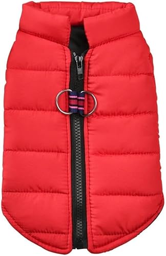 Warme leichte Hundejacke, für den Winter, weich und bequem, Haustiermantel, Chihuahua, Französische Bulldogge, Mops, winddicht, wasserdicht, geeignet für kleine und mittelgroße Hunde und Katzen, Rot Warme leichte Hundejacke, für den Winter, weich und bequem, Haustiermantel, Chihuahua, Französische Bulldogge, Mops, winddicht, wasserdicht, geeignet für kleine und mittelgroße Hunde und Katzen, Rot von Generisch