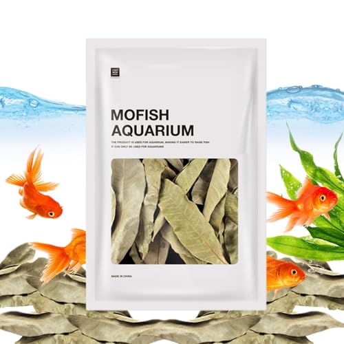 Wasseraufbereiter Blätter – Aquarium Fische ruhen Longan Leaf Streu – Natürliches Dekorations-Zubehör für Aquarium, Aquarium und andere Orte Wasseraufbereiter Blätter – Aquarium Fische ruhen Longan Leaf Streu – Natürliches Dekorations-Zubehör für Aquarium, Aquarium und andere Orte von Generisch