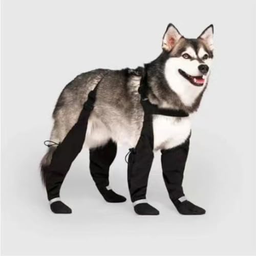 Wasserdichte Hundeschuhe, verstellbare Hundeschuhe mit reflektierenden Streifen für kleine Hunde, rutschfeste Hundepfotenschutz, geeignet für Spaziergänge im Freien (Schwarz, L) von Generisch