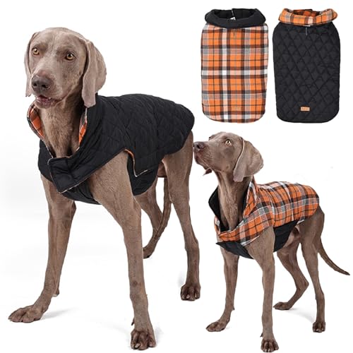 Wasserdichter Hundemantel, wendbar, kariert, für den Winter, gemütlicher Schneeanzug für kleine bis große Hunde, ideale Weste für kaltes Wetter, bequeme und stilvolle Haustierbekleidung Wasserdichter Hundemantel, wendbar, kariert, für den Winter, gemütlicher Schneeanzug für kleine bis große Hunde, ideale Weste für kaltes Wetter, bequeme und stilvolle Haustierbekleidung von Generisch