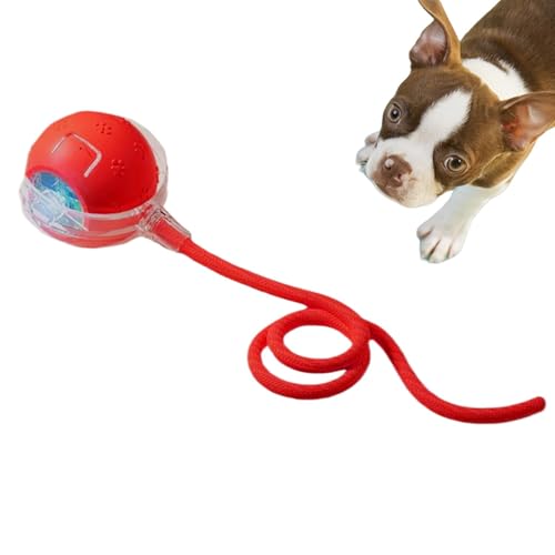 Wechseln Sie die Bewegung des Quietsch- und Aktivierungsspielzeugs – bewegungsaktivierte Spielzeugbälle | Interaktives Spielzeug für Kätzchen | Katze Teaser Ball Spaß Spielzeug von Generisch