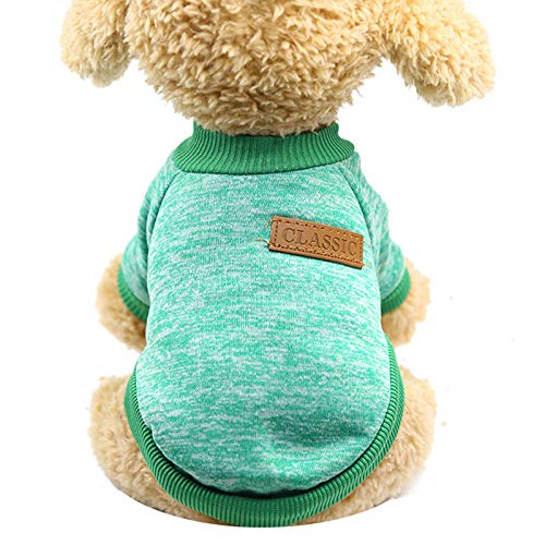 Welpen Warmer Teddypullover Welpenkleidung Katzenwollkampf Zweibeiniger Hund Haustier Haustierkleidung Schöne Hundepullover (Green, XXL) von Generisch