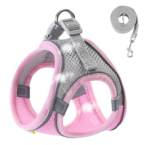 Weste Harness For Small Dogs,Reflektierende Hundeweste | Pet Apparel for Night Walking, All Weather Breathable Dog Harness, Safety Small Medium Dogs von Generisch