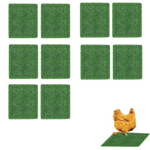 Wiederverwendbare Haustier-Grasmatten, PP-TPR-Nistunterlagen für Hühnerstall und Kaninchenstall, waschbar, Tierstreu, umweltfreundliches Geflügelfutter, 30 x 30 cm, 20 Stück Wiederverwendbare Haustier-Grasmatten, PP-TPR-Nistunterlagen für Hühnerstall und Kaninchenstall, waschbar, Tierstreu, umweltfreundliches Geflügelfutter, 30 x 30 cm, 20 Stück von Generisch