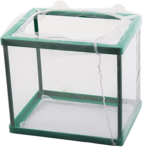XYZOOM Aquarium Fry Net Breeder Breeding Brüterei(39c47 94039 25447 17fd2 b2c35 08ef2 XYZOOM Aquarium Fry Net Breeder Breeding Brüterei(39c47 94039 25447 17fd2 b2c35 08ef2 von Generisch