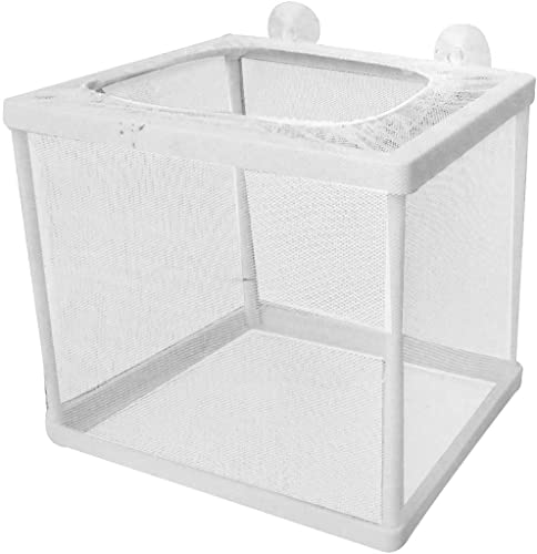 XYZOOM Kunststoffrahmen Rechteck Fischtank Fry Brüterei Mesh Net Breeder Weiß(500d1 a14c4 a9400 13a91 489c8 74d00 XYZOOM Kunststoffrahmen Rechteck Fischtank Fry Brüterei Mesh Net Breeder Weiß(500d1 a14c4 a9400 13a91 489c8 74d00 von Generisch