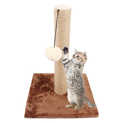 Genikeer Kratzbäume für Hauskatzen,Kratzbaum für Katzen - Lustiger Kratzbaum für Kätzchen,Kreativer Katzen-Aktivitätskratzer, Kratzbaum mit aufhängbarem Ball, Sisal-Katzenkratzer für Hauskatzen Genikeer Kratzbäume für Hauskatzen,Kratzbaum für Katzen - Lustiger Kratzbaum für Kätzchen,Kreativer Katzen-Aktivitätskratzer, Kratzbaum mit aufhängbarem Ball, Sisal-Katzenkratzer für Hauskatzen von Genikeer