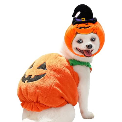 Hundekürbiskostüm | Kürbis Welpen Hut,Gemütlich Warmes Halloween Welpen Outfit für tägliche Spaziergänge, Herbst und Winter, Fotografie und Themenparty Hundekürbiskostüm | Kürbis Welpen Hut,Gemütlich Warmes Halloween Welpen Outfit für tägliche Spaziergänge, Herbst und Winter, Fotografie und Themenparty von Genikeer