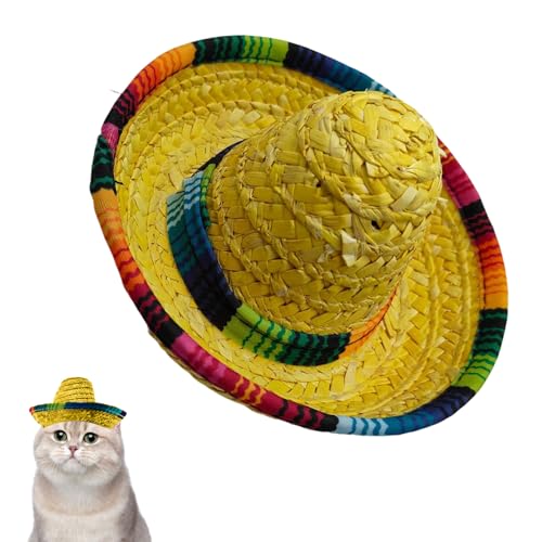 Mini Sombreros - Geflochtene Kleine Sombrero Hütchen,Weitkrempige Kostüm Deko Ausstattung | Karneval Fiesta Sommerfest von Genikeer