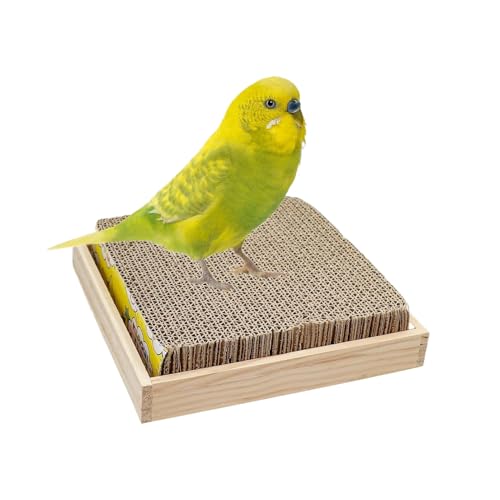 Vogelsitzstange - Pappspielplatz - Kau Und Spiel Sitzstangen Zur Bereicherung Für Vögel Wie Finken Aras Nymphensittiche Keilschwanzsittiche Wellensittiche Für Drinnen Und Draußen In von Genikeer