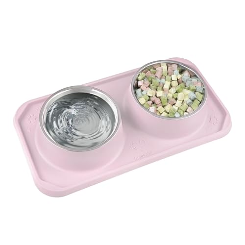 Gentledog Katzennäpfe für Futter und Wasser, Upgrade Katzenfutterschalen für Indoor-Katzen, Premium Abnehmbare Edelstahl-Doppelschalen mit Silikon-Anti-Rutsch-Pads, Wassernapf für Katzen und Hund von Gentledog