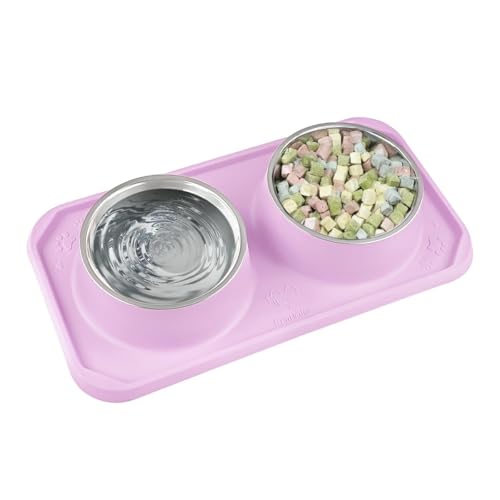 Gentledog Katzennäpfe für Futter und Wasser, Upgrade Katzenfutterschalen für Indoor-Katzen, Premium Abnehmbare Edelstahl-Doppelschalen mit Silikon-Anti-Rutsch-Pads, Wassernapf für Katzen und Hund Gentledog Katzennäpfe für Futter und Wasser, Upgrade Katzenfutterschalen für Indoor-Katzen, Premium Abnehmbare Edelstahl-Doppelschalen mit Silikon-Anti-Rutsch-Pads, Wassernapf für Katzen und Hund von Gentledog