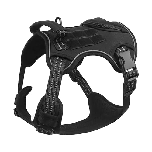 Geonoy Haustier-Brust- und Rücken-Leinen, Leinengeschirr, wiederverwendbare Brust- oder Rückenclips für Spaziergänge, Training, Leinen, Brustgurt für Welpen, kleine Hunde und Haustiere Geonoy Haustier-Brust- und Rücken-Leinen, Leinengeschirr, wiederverwendbare Brust- oder Rückenclips für Spaziergänge, Training, Leinen, Brustgurt für Welpen, kleine Hunde und Haustiere von Geonoy