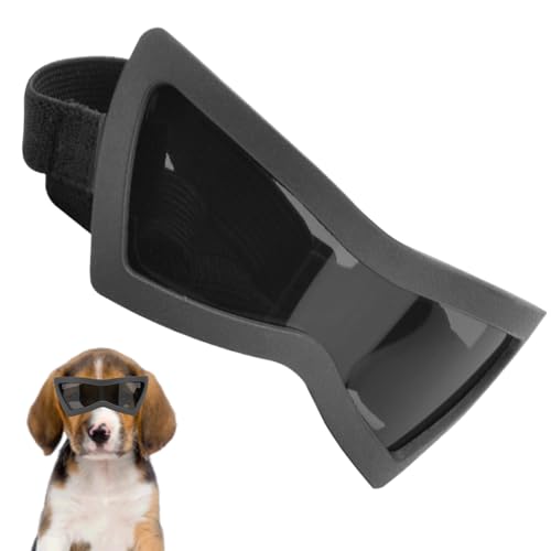 Geonoy Hundesonnenbrille für kleine Rassen, winddichte Brille für Hunde, staubdicht, UV-Schutz, Katzenbrille mit verstellbarem Riemen für Augenschutz, Outdoor, Wandern, Motorrad, Welpe Geonoy Hundesonnenbrille für kleine Rassen, winddichte Brille für Hunde, staubdicht, UV-Schutz, Katzenbrille mit verstellbarem Riemen für Augenschutz, Outdoor, Wandern, Motorrad, Welpe von Geonoy