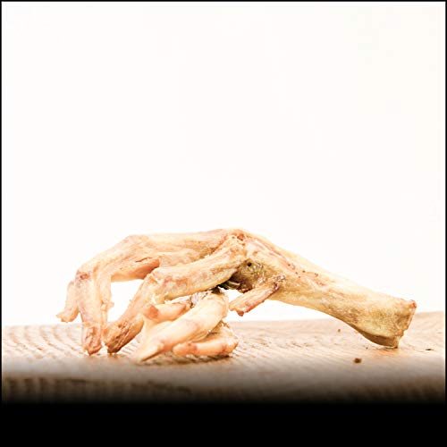 George & Bobs Entenfüße - 1000g | Kausnack für Hunde | Schonend getrocknet George & Bobs Entenfüße - 1000g | Kausnack für Hunde | Schonend getrocknet von George & Bobs