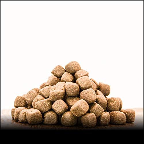 George & Bobs Lamm & Rind Adult | 15 kg | Getreidefrei | 70% Fleischanteil | Superfoods | Trockenfutter | Grünlippmuschel | für ausgewachsene Hunde von George & Bobs