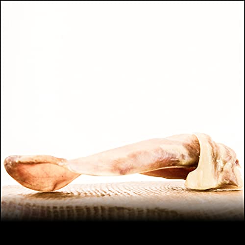 George & Bobs Schweineohren mit Muschel - 1000g (ca.20-30Stk.) - Langer Kauspaß - 100% Natürlich - 100% Schwein von George & Bobs