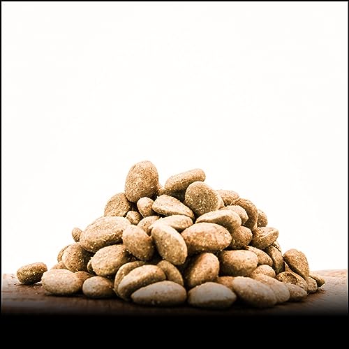 Trockenfutter - Wild & Kartoffel - 15000g von George & Bobs