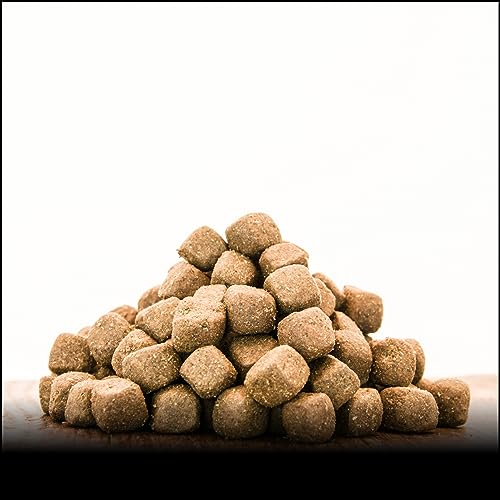 George & Bobs Trockenfutter - Ziege - 3000gt | 3 kg | Getreidefrei | 70% Fleischanteil | Superfoods | Trockenfutter | Grünlippmuschel | für ausgewachsene Hunde von George & Bobs