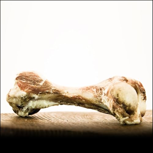 Schulterknochen vom Schwein/wie Schinkenknochen - 10Stk. - von George and Bobs Schulterknochen vom Schwein/wie Schinkenknochen - 10Stk. - von George and Bobs von George & Bobs